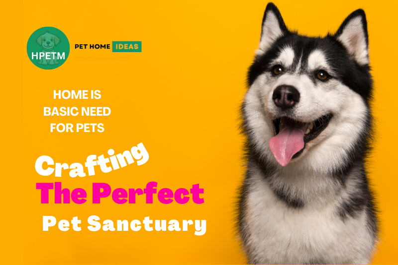 Crafting the Perfect Pet Sanctuary: Innovative Home Ideas for Your Furry Friends